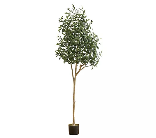 Nearly Natural 6-ft Artificial Olive Tree | QVC
