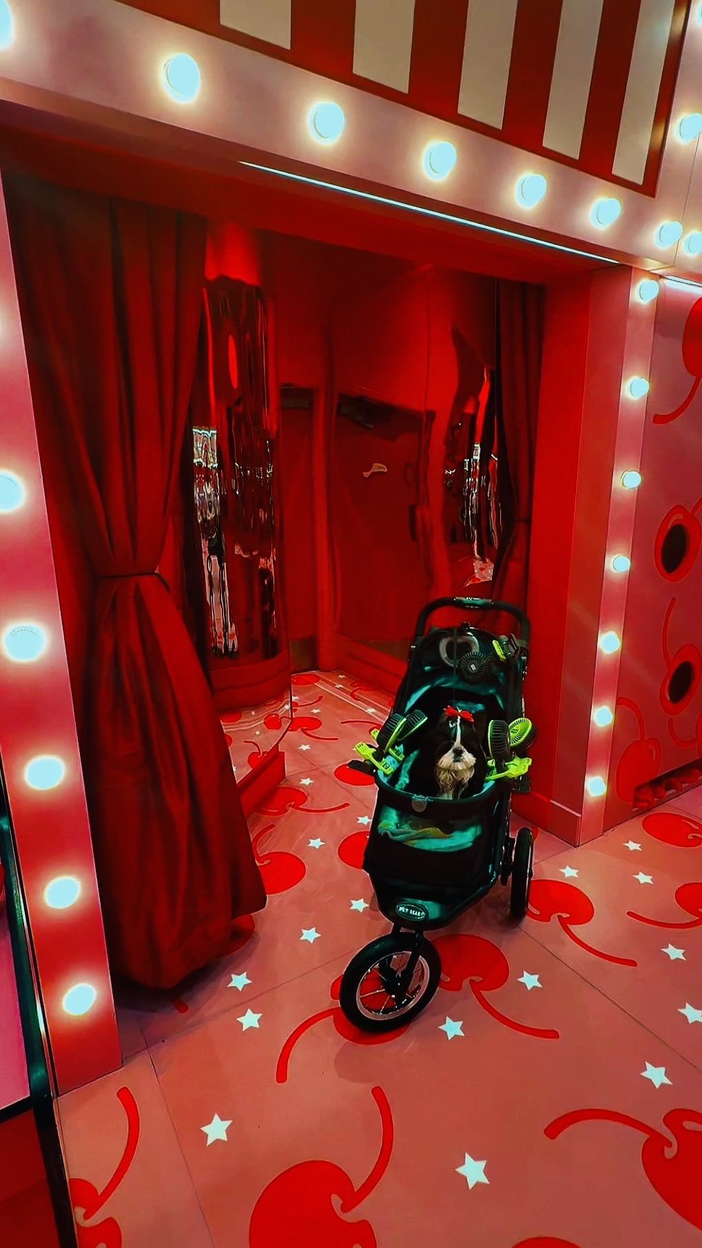 Museum of Ice Cream Miami was basically Nirvana’s dream world 🍒🍦 From secret freezer doors and banana rooms to unlimited sweet treats, interactive games, and the cutest photo ops at every turn, this is one of the most fun spots in Miami for date night, girls’ day, family outings, or just living your best pink aesthetic life. Located right at Miami Worldcenter, so there are tons of restaurants and things to do nearby after. ✨

Nirvana is linking handbags, accessories, beauty finds, and playful luxury pieces inspired by the entire Museum of Ice Cream aesthetic because honestly… this place deserves its own mood board. 💕🍌

Nirvana the Shih Tzu 💋 Nirvana Approved

#LTKdayinmylife #LTKgrwm #LTKTravel