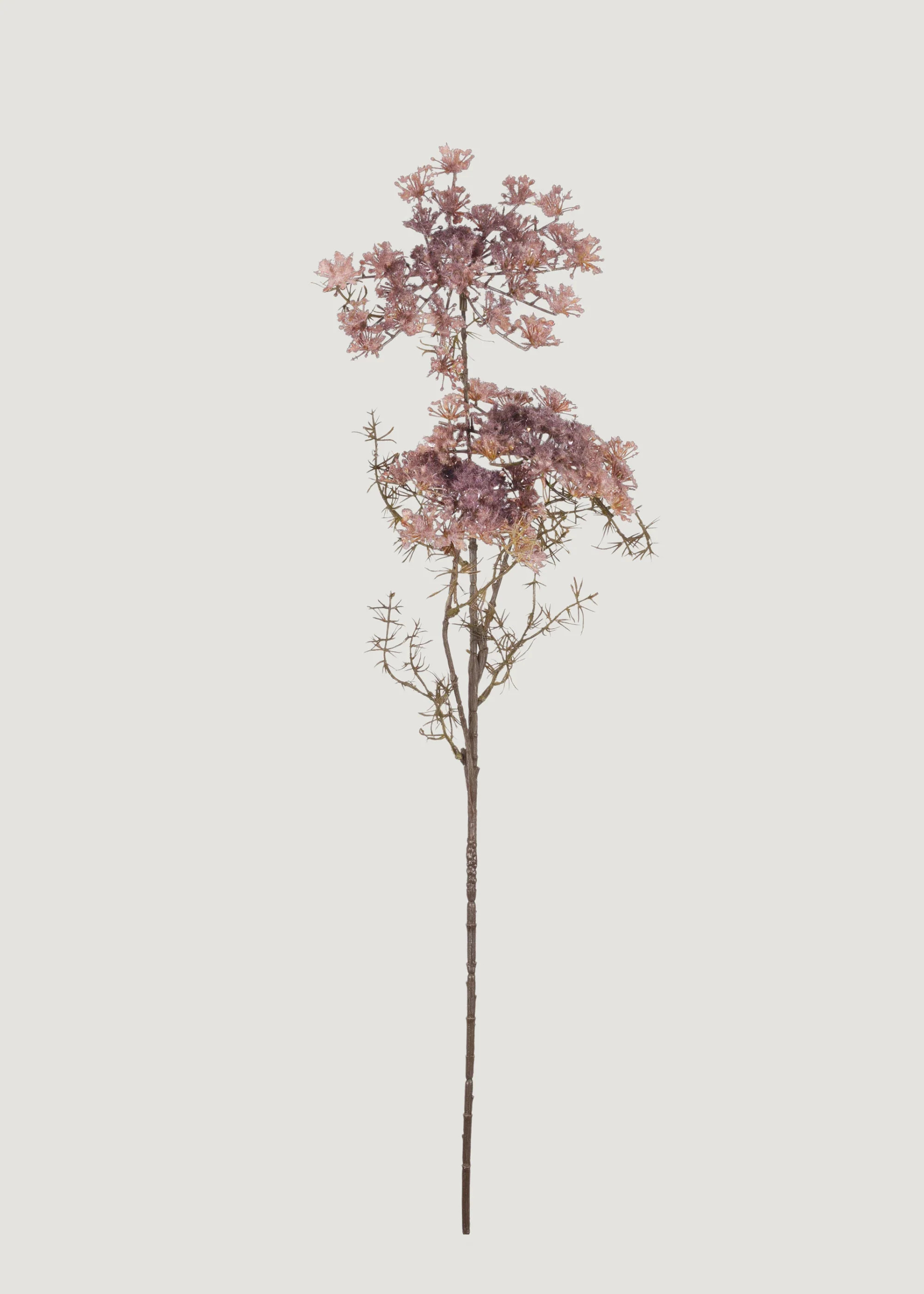 Blush Queen Anne's Lace Branch | Lifelike Fake Botanicals at Afloral | Afloral