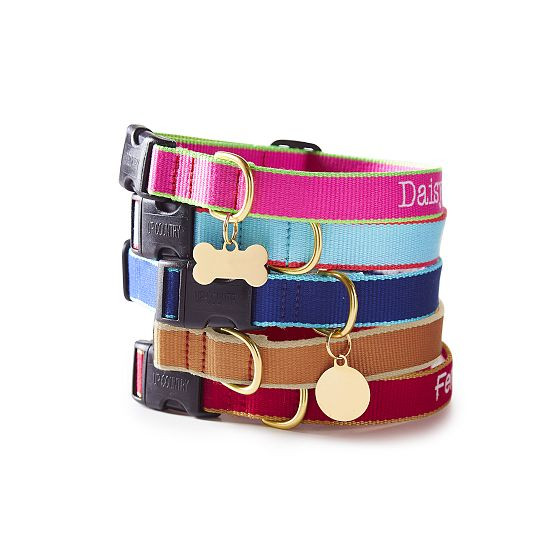 Color Market Collar | Mark and Graham