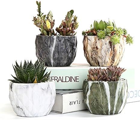 Sun-E Modern Style Marbling Ceramic Flower Pot Succulent/Cactus Planter Pots Container Bonsai Pla... | Amazon (US)