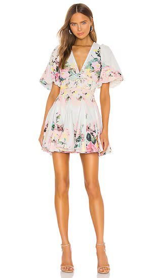 Teien Mini Dress | Revolve Clothing (Global)