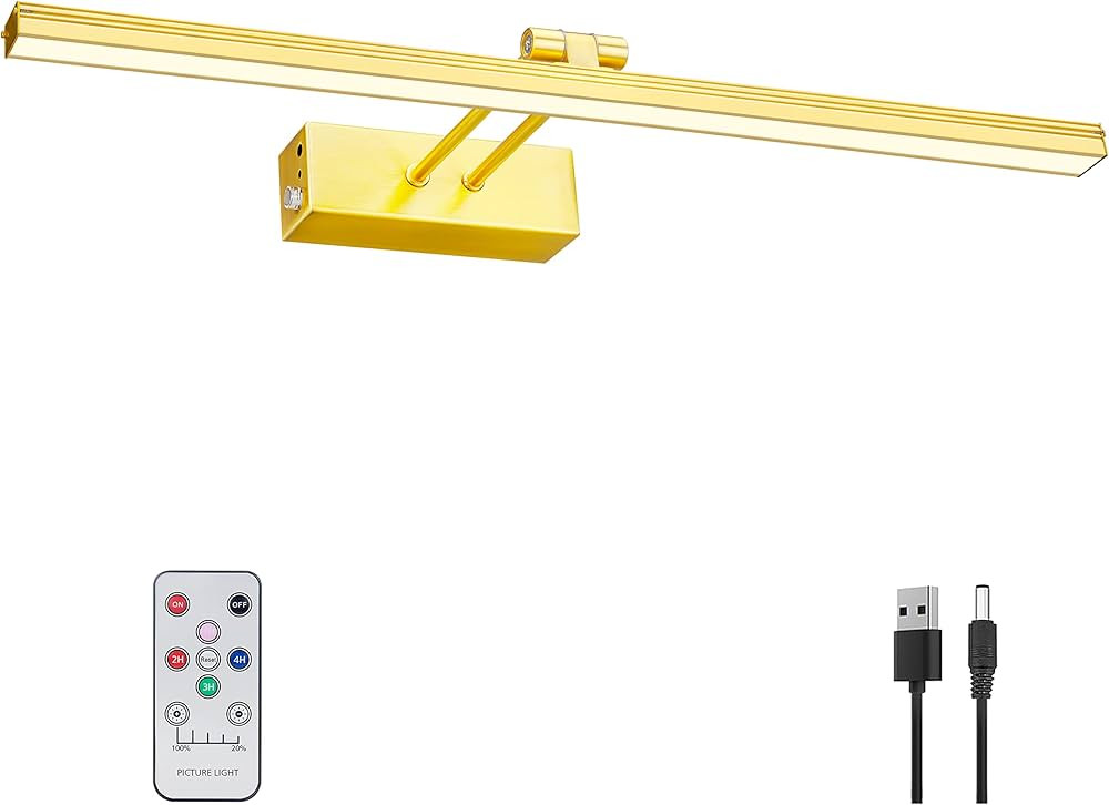 FUNCHDAY Picture Light,20" Battery Picture Light for Wall,5000mAh Wireless Remote Painting Light ... | Amazon (US)