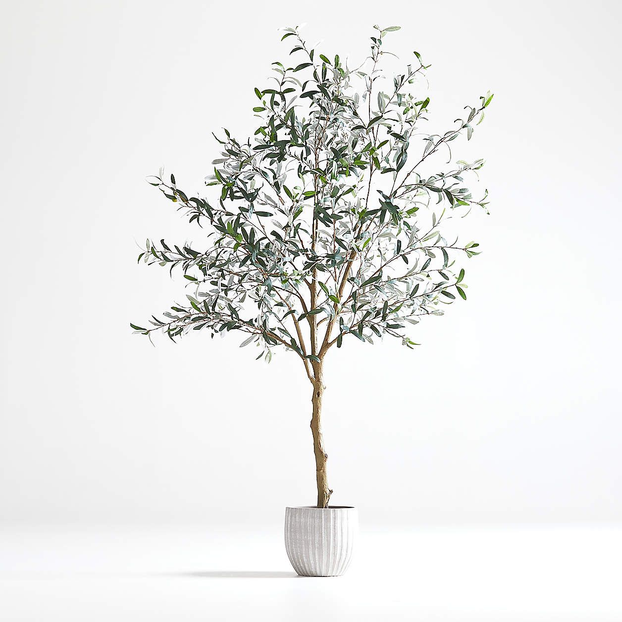 Potted Faux Olive Tree 7' + Reviews | Crate and Barrel | Crate & Barrel
