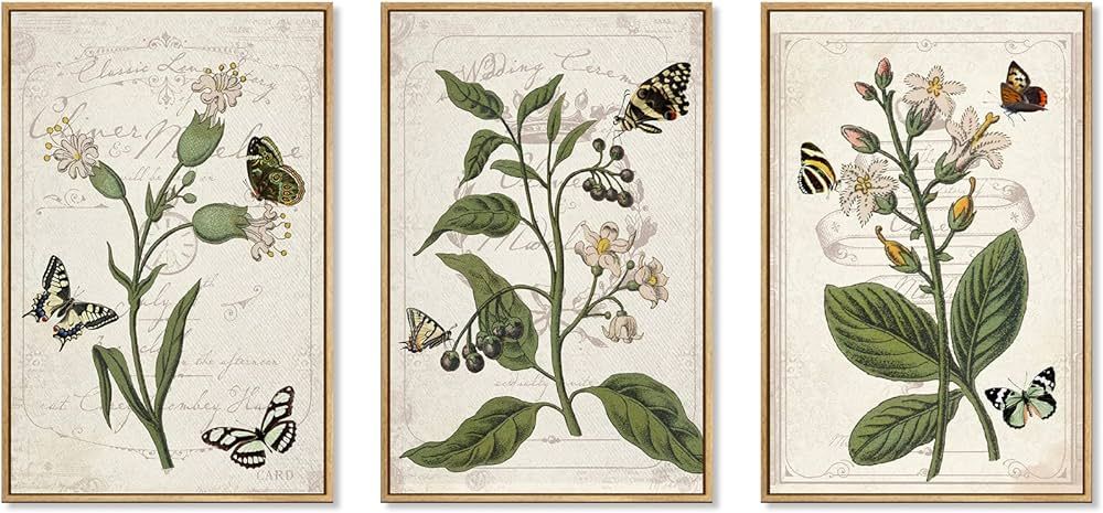 Zzuyi Framed Canvas Print Wall Art Retro Botanical Butterfly Wall Art Prints Vintage Floral Botan... | Amazon (US)