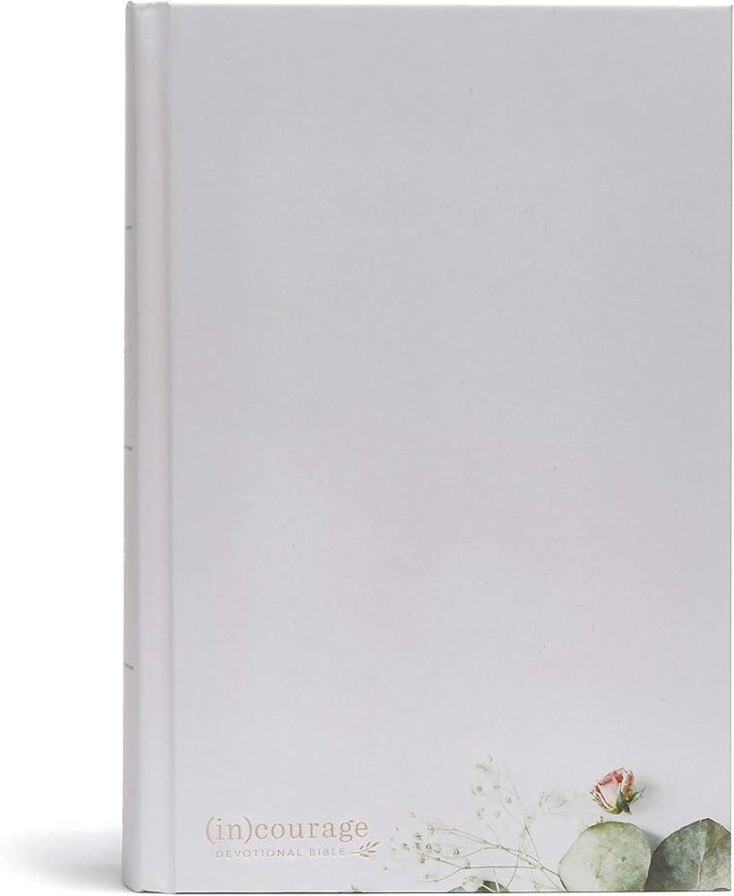 CSB (in)courage Devotional Bible, Gray Hardcover,Black Letter, Full-Color Design, Devotionals, Jo... | Amazon (US)