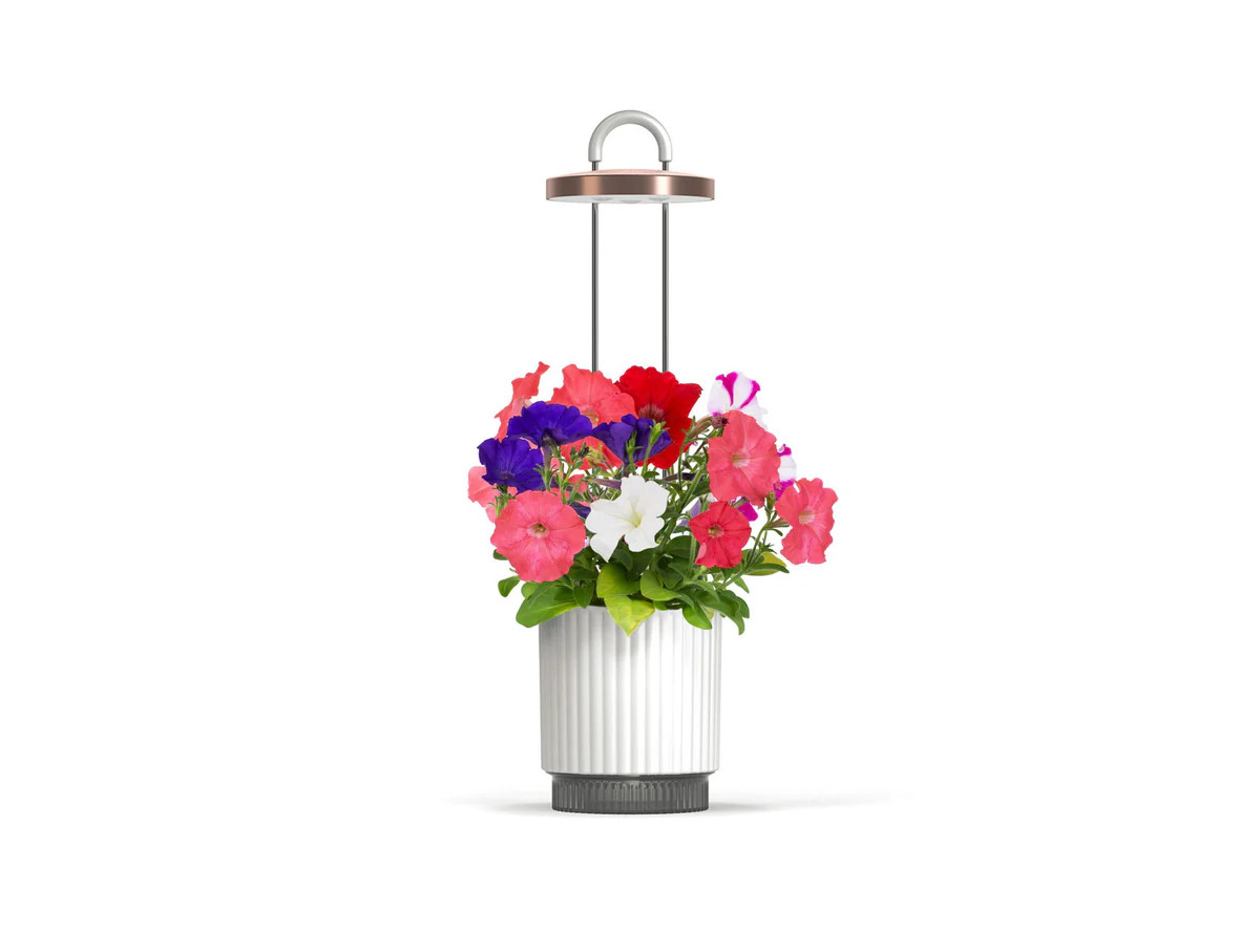 HydroVase by Ermonix | Click & Grow