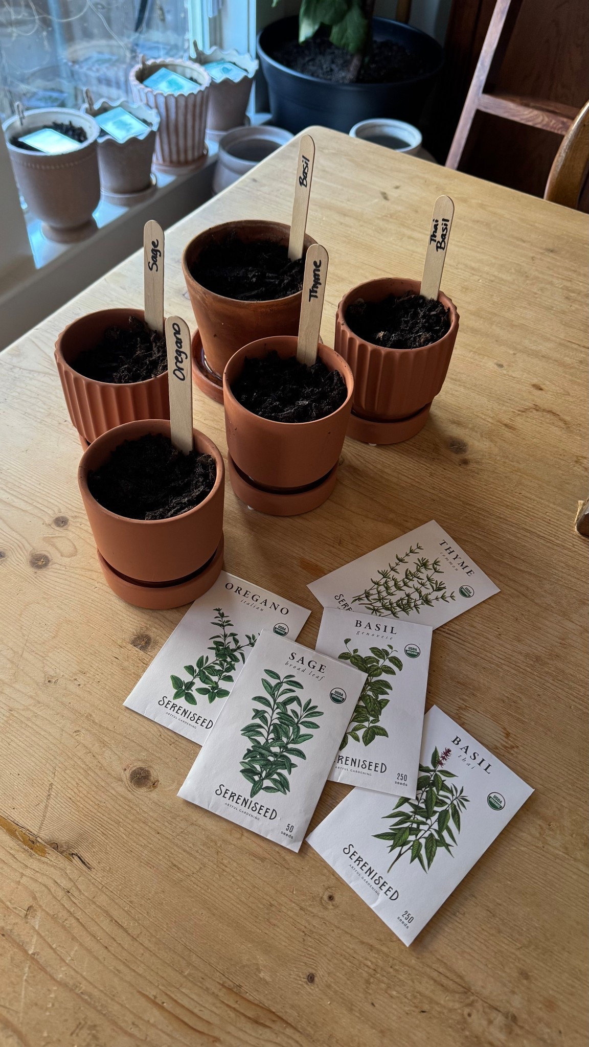 It’s time for indoor gardening! Let’s plant these herbs now so we can have little sprouts to plant in the spring. I’ll also keep several inside my kitchen for an indoor kitchen garden. You can grow year round in your house! All plants need is sunlight, water and temperature. You got this! 

Seeds
Gardening
Kitchen garden
Seed starting
Window seal garden