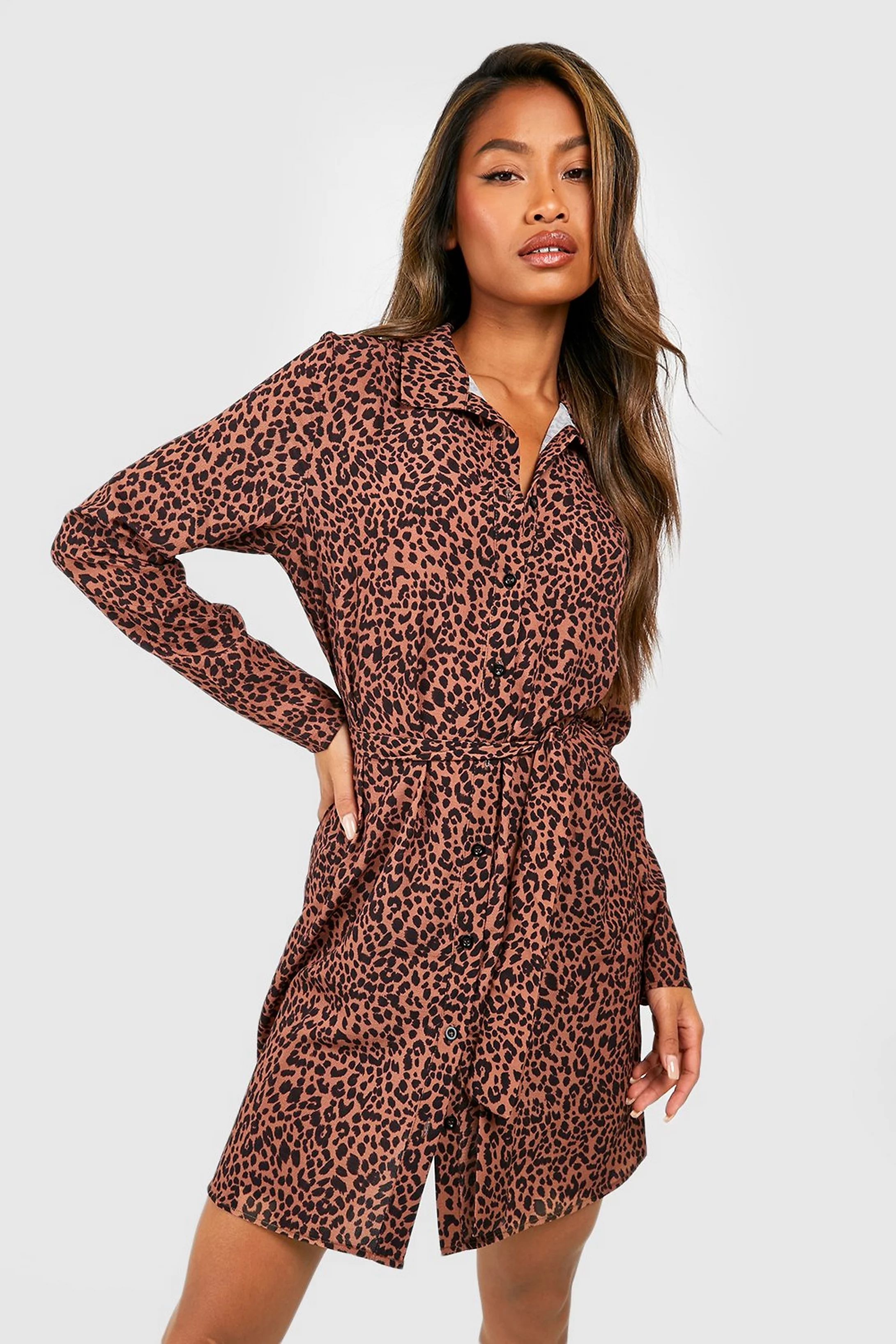 Shirt Dress Animal Print | Boohoo.com (US & CA)