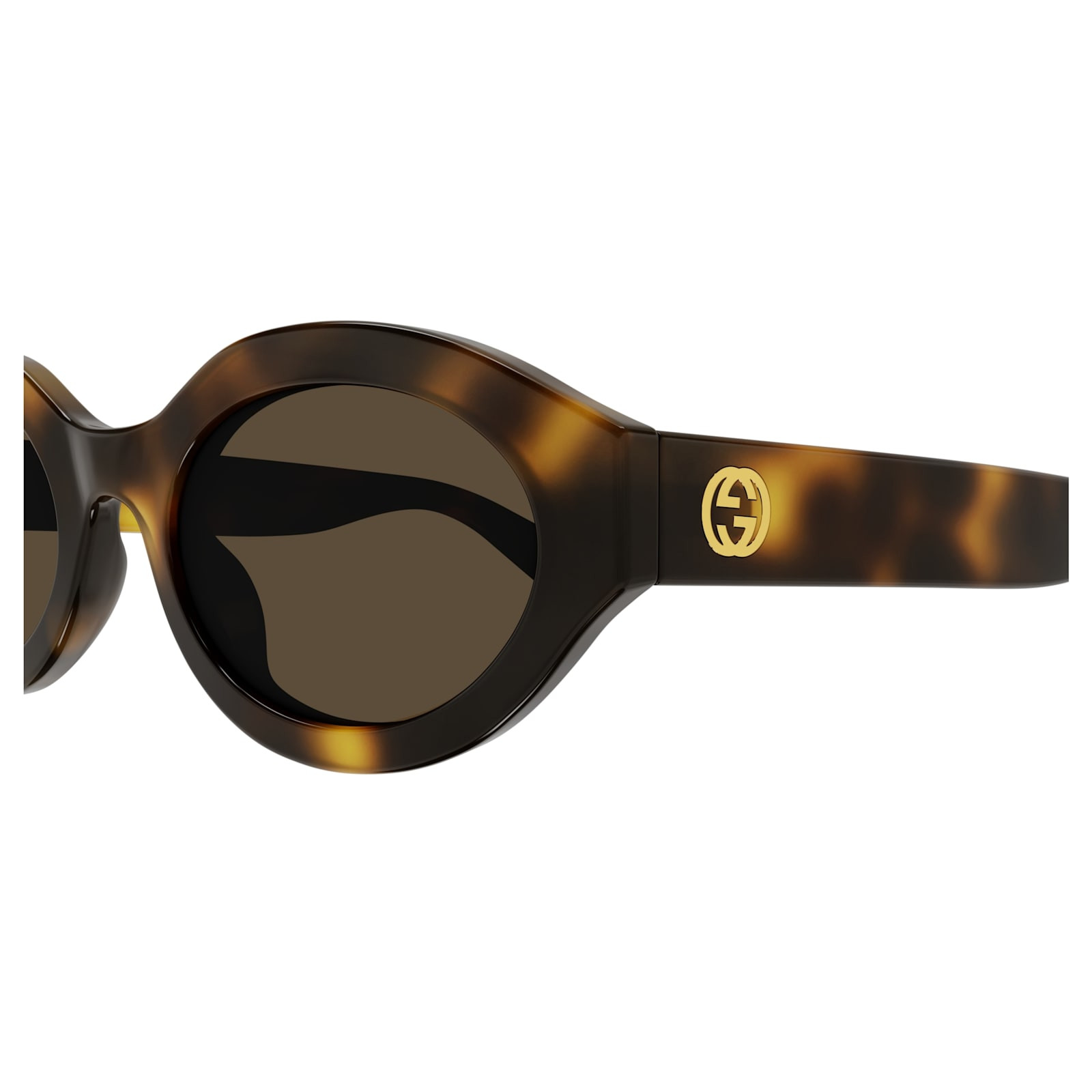 Gucci Eyewear Gg1579s002-havana-havana-brown | Italist.com US