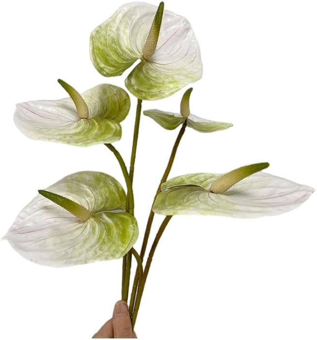 Rikyo 5 Pc 24inch/61cm Artificial Anthurium Lily Flowers Permanent for Home Decor Bouquet and Gre... | Amazon (US)