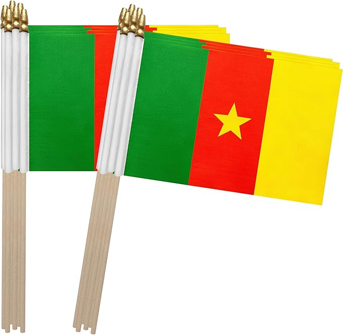 TSMD Cameroon Stick Flag Cameroonian Small Mini Hand Held Flags,5x8 Inch,12 Pack | Amazon (US)