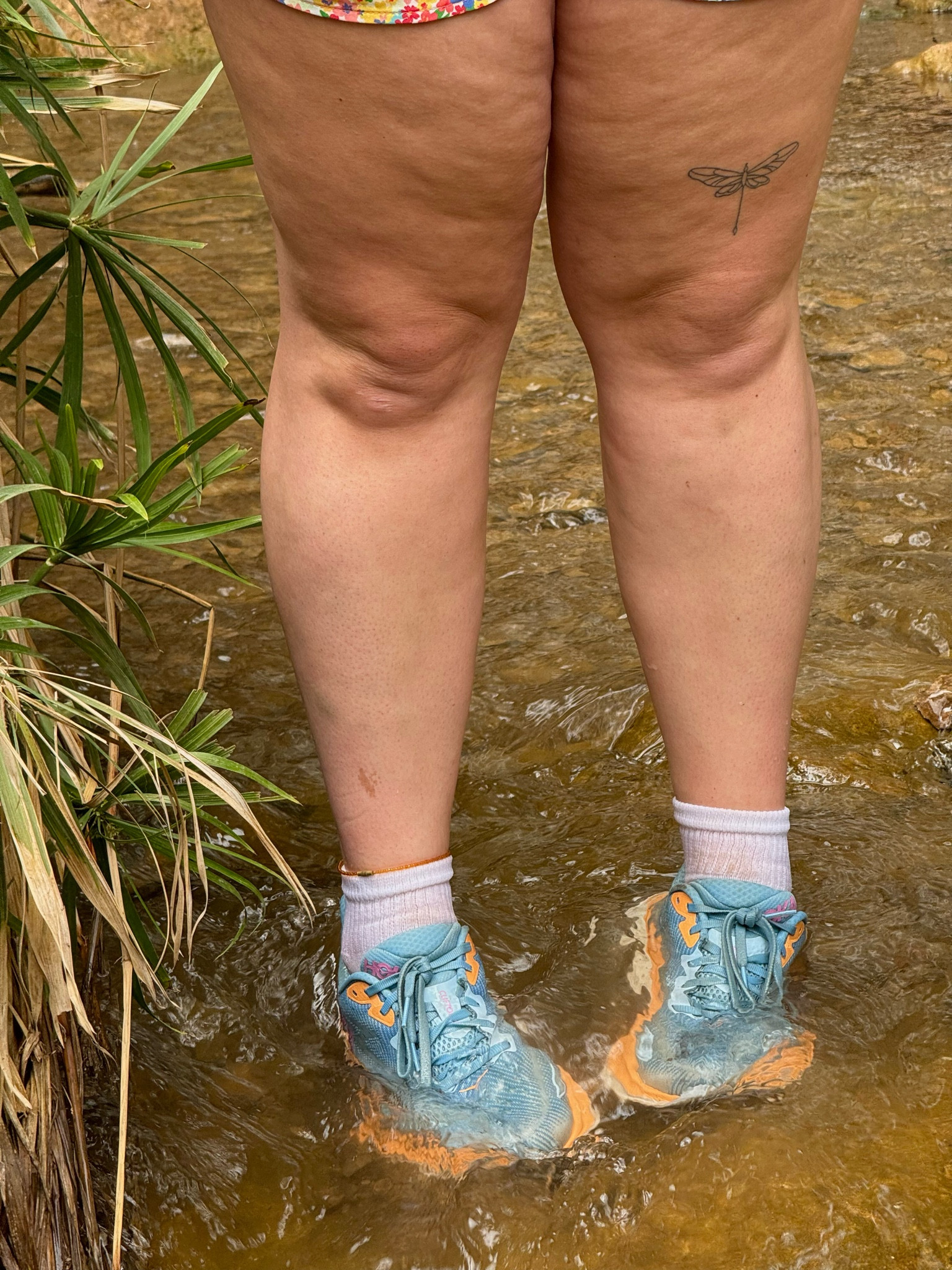 the best walking shoes.. on land and in creeks 👟
size 10 WIDE 

hiking shoes, walking shoes, athletic wear, outdoor outfit, sneakers, tennis shoes, hoka

#LTKFitness #LTKShoeCrush #LTKActive