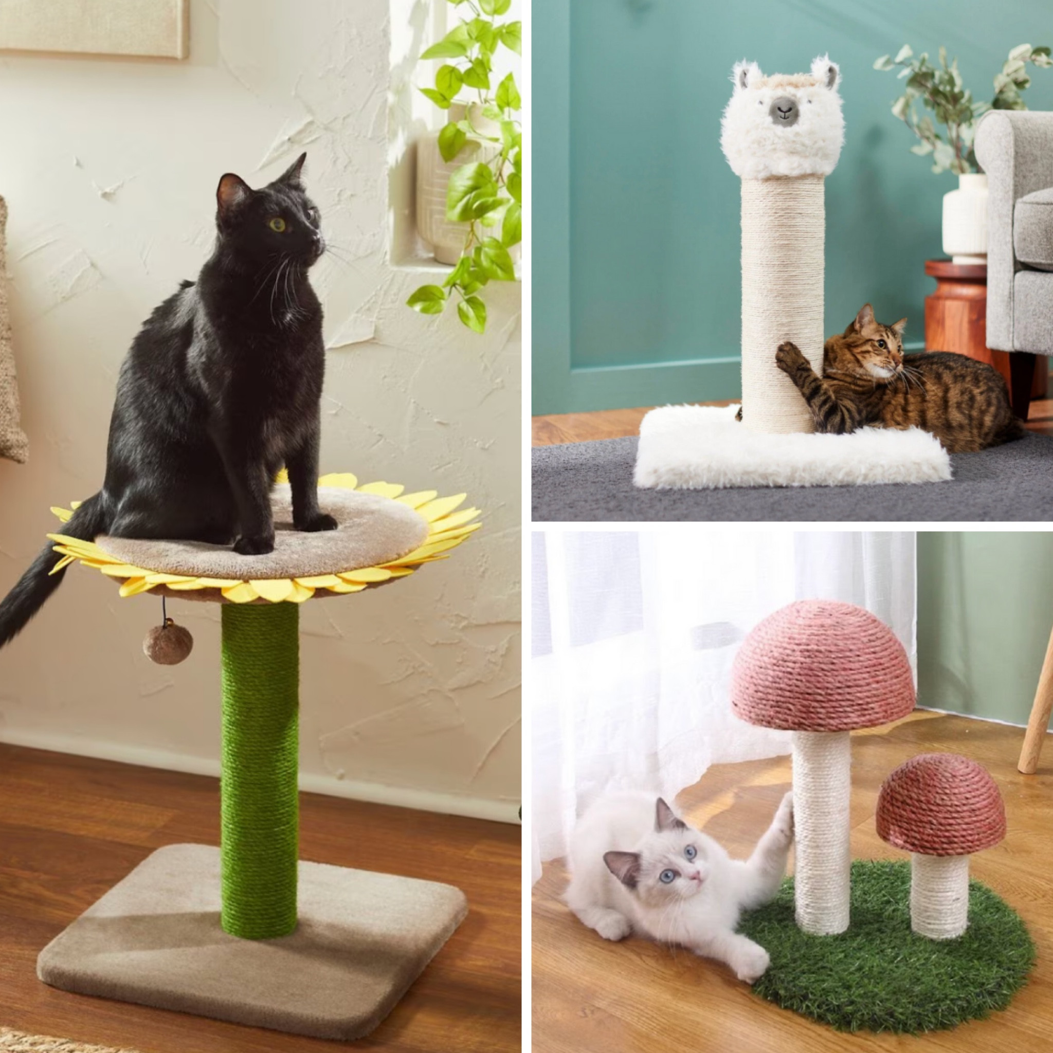Adorable Cat Trees from Chewy | Cats are naturally curious creatures, and cat trees and scratchers provide them with an opportunity to explore and play in a safe and controlled environment. | Shop the cutest and most whimsical cat trees, featuring unicorns, sunflowers, and more, from Chewy here! 


#LTKhome #LTKFind #LTKfamily