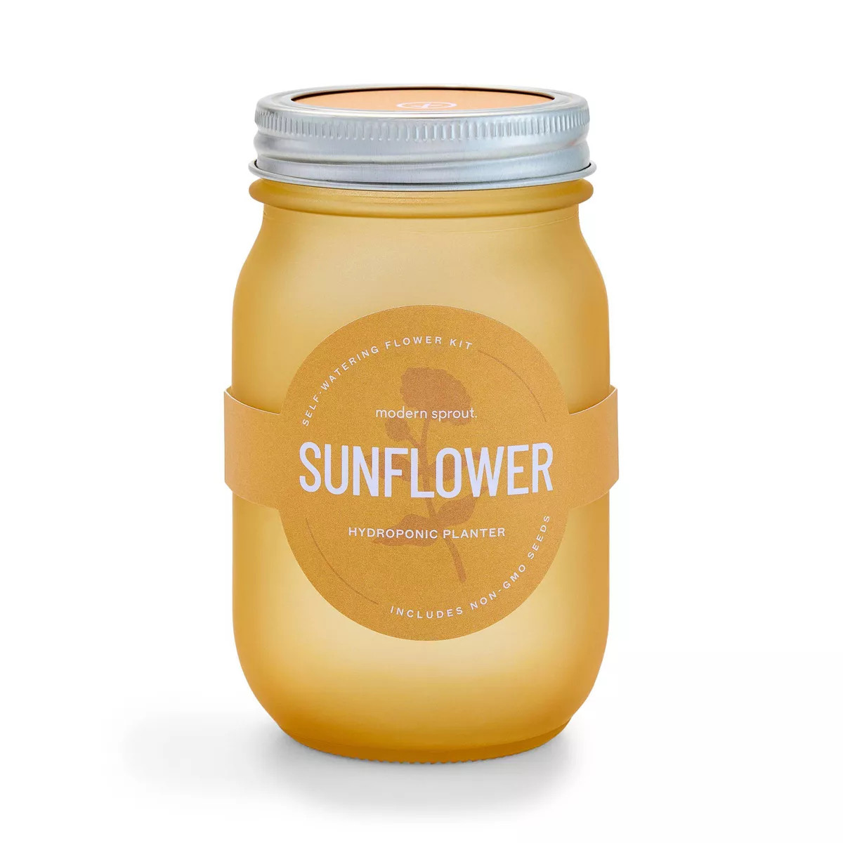 Modern Sprout Pint Jars Garden Seed Kits | Target