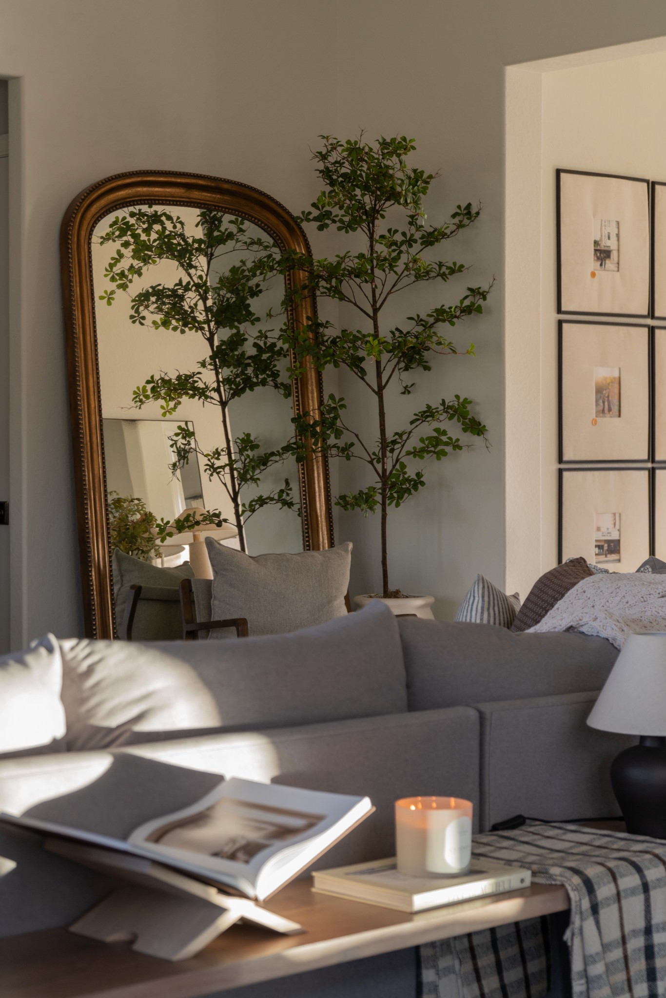 By far my fav faux tree! Perfect for year round! 

#LTKSpringSale #LTKSeasonal