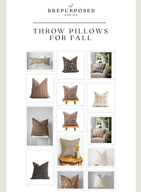 A collection of throw pillows perfect for fall! 

#LTKhome