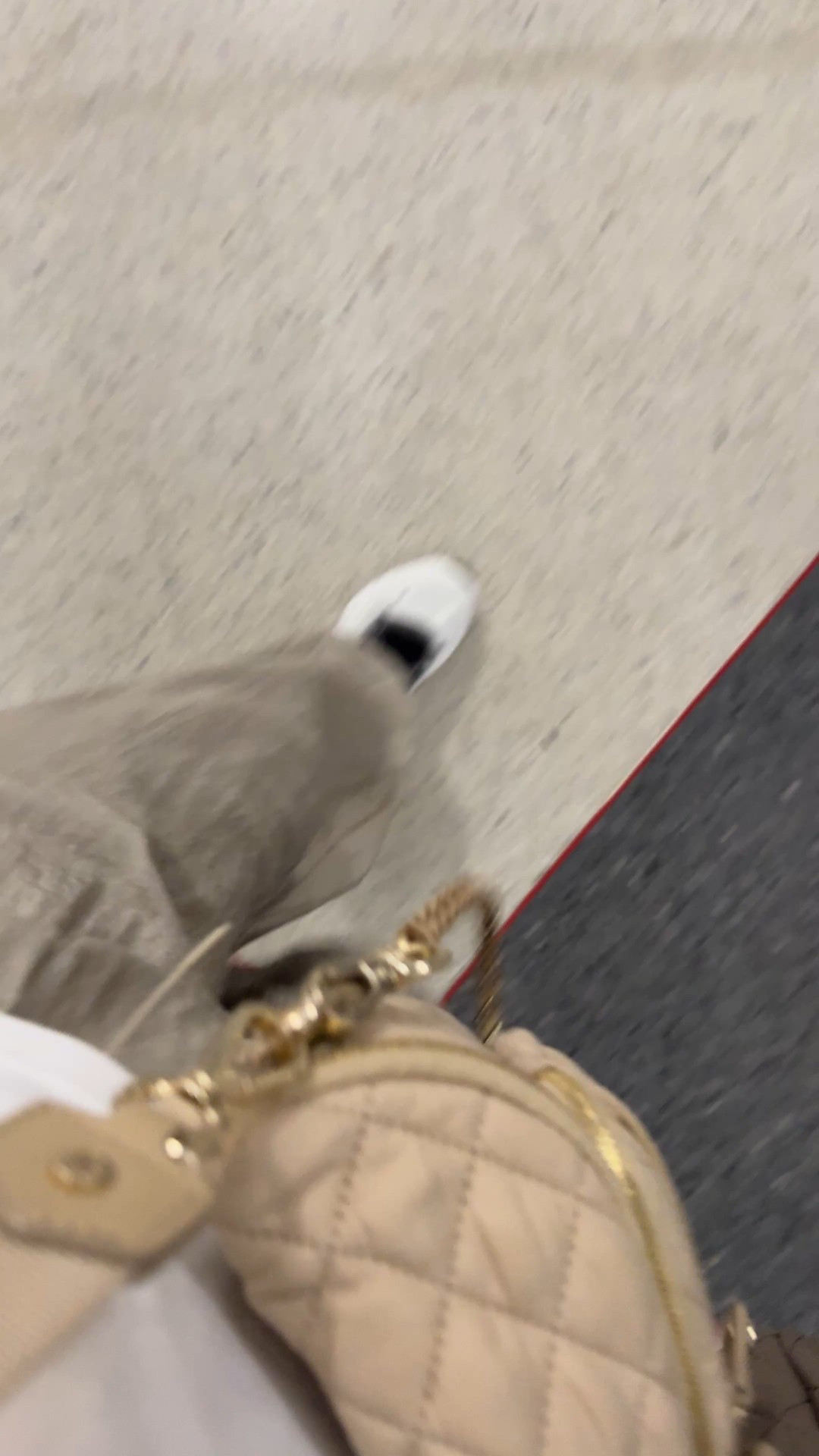 Travel outfit. Travel bag. 
Travel pants. Travel sneakers. Travel gear. Travel essentials from amazon  



#LTKOver40 #LTKTravel #LTKActive