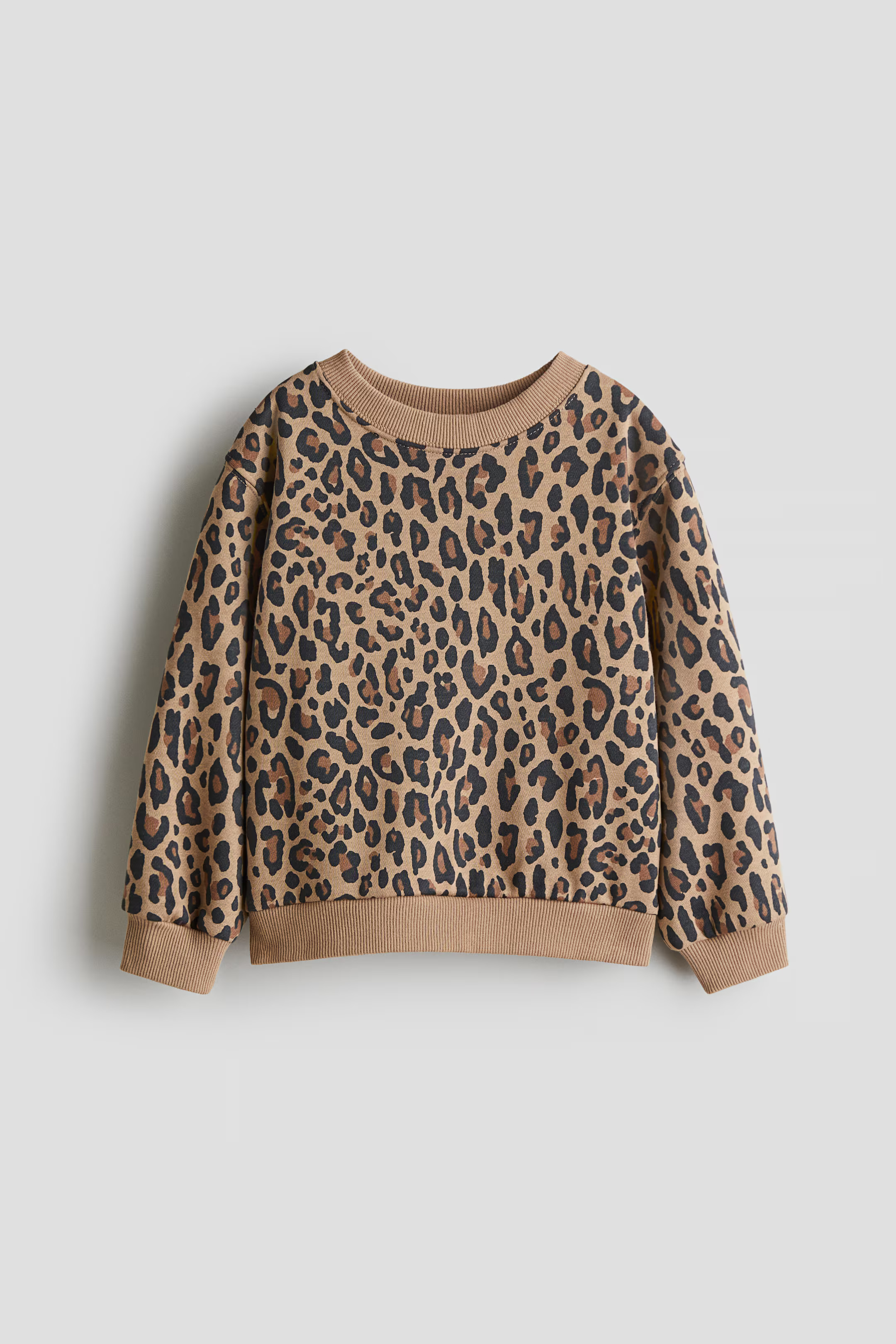 Printed Brushed-Inside Sweatshirt | H&M (US + CA)
