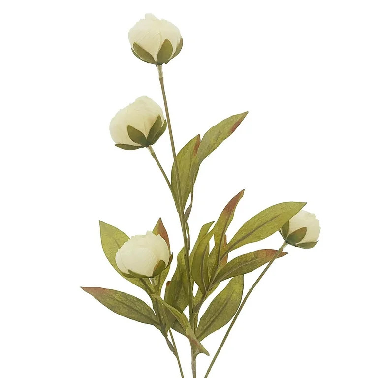 16 Pack: Cream Peony Stem by Ashland® | Walmart (US)