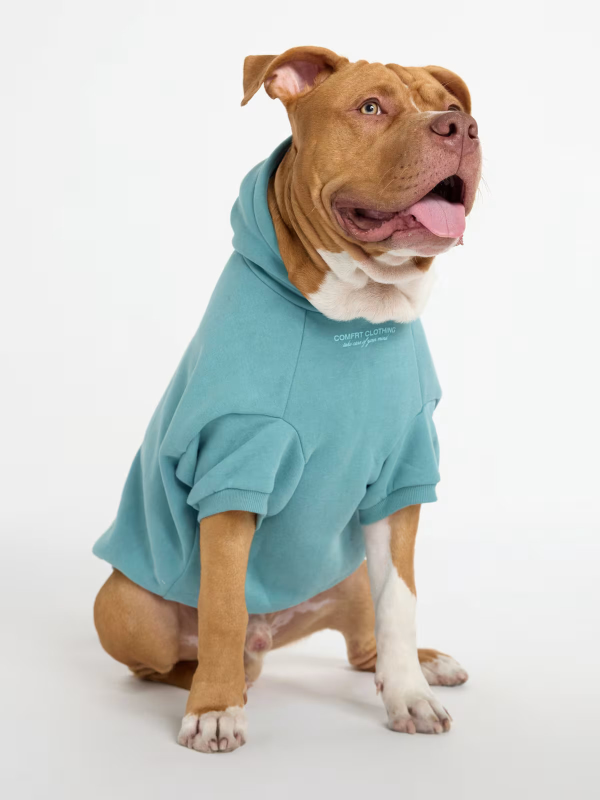 You Matter Paw Hoodie | Comfrt