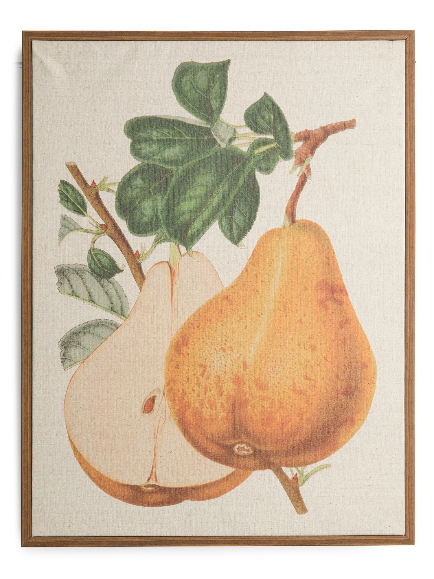 18x24 Pear Wall Art | Marshalls