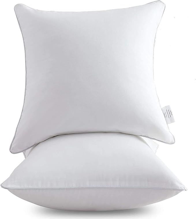 Oubonun 24 x 24 Pillow Inserts (Set of 2) - Throw Pillow Inserts with 100% Cotton Cover - 24 Inch... | Amazon (US)