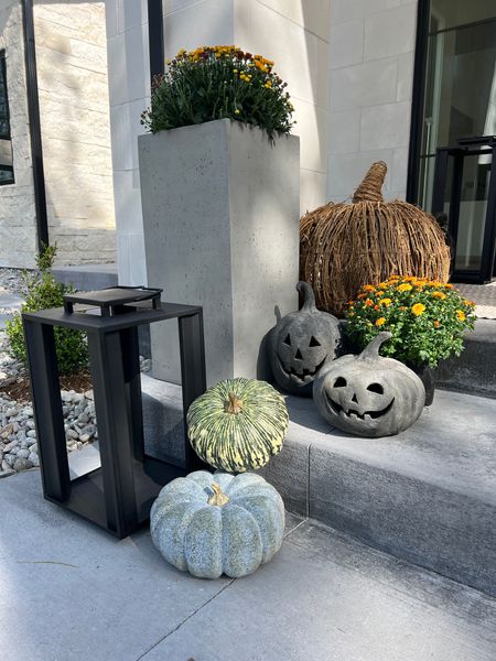 Mums are back! All these items are from Pottery Barn. They have my favorite holiday items. Faux pumpkins… these will last every season! 

#LTKhome #LTKFind #LTKSeasonal