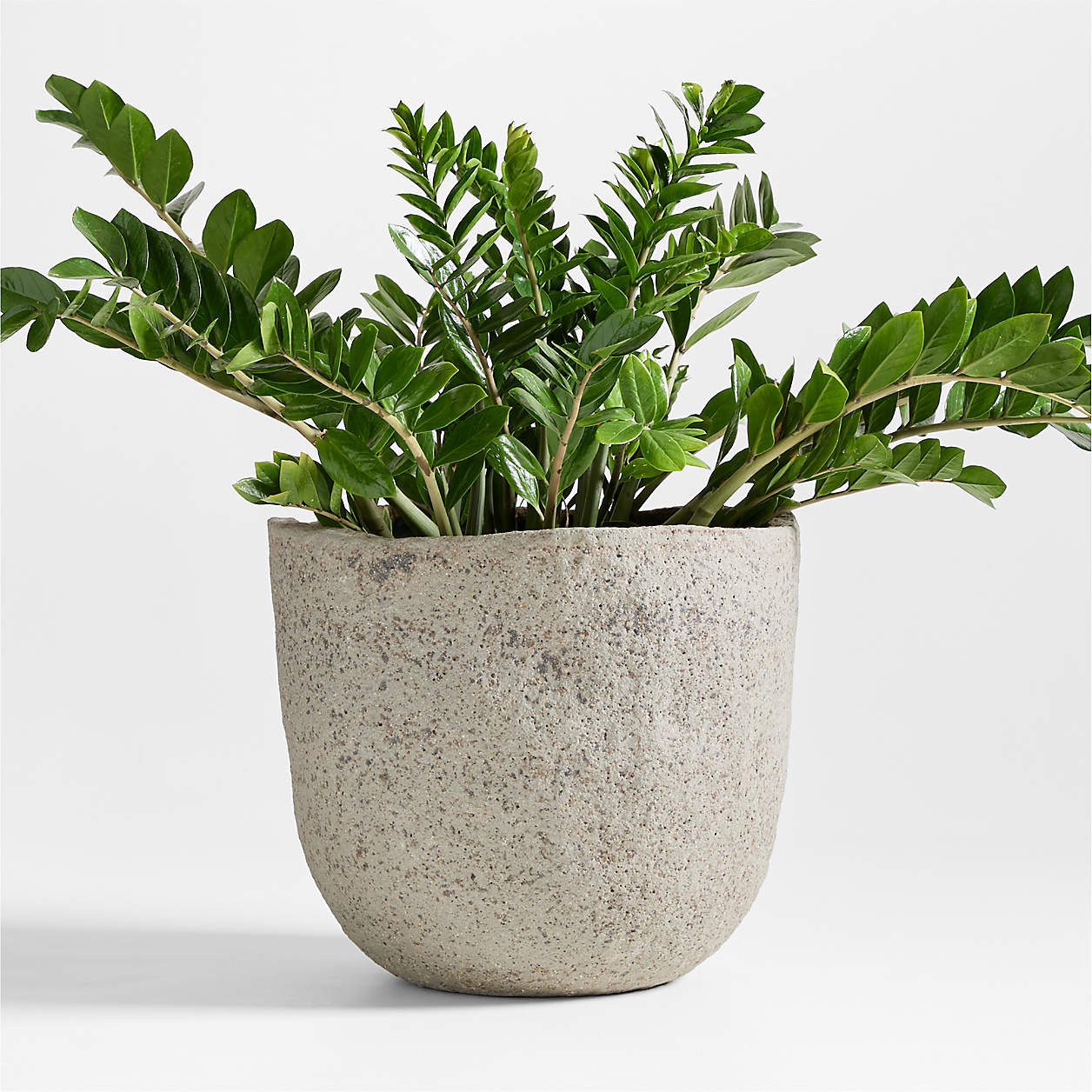 Cavo Warm Grey Textured Indoor/Outdoor Planter 16.5"x14" | Crate & Barrel | Crate & Barrel