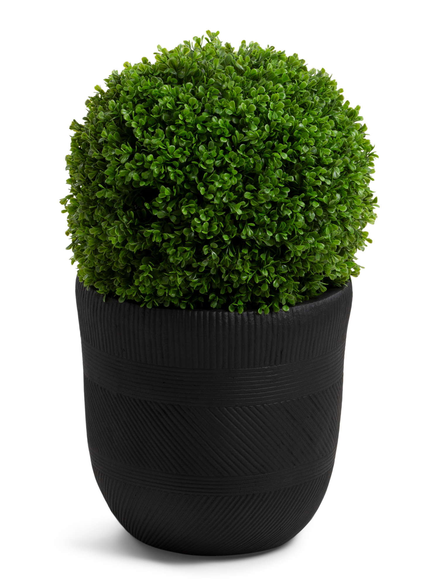 16x25 Uv Resistant Outdoor Safe Boxwood In Planter | Plants & Planters | Marshalls | Marshalls