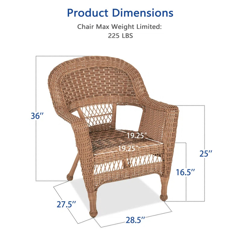 Honey Wicker Chair | Wayfair North America