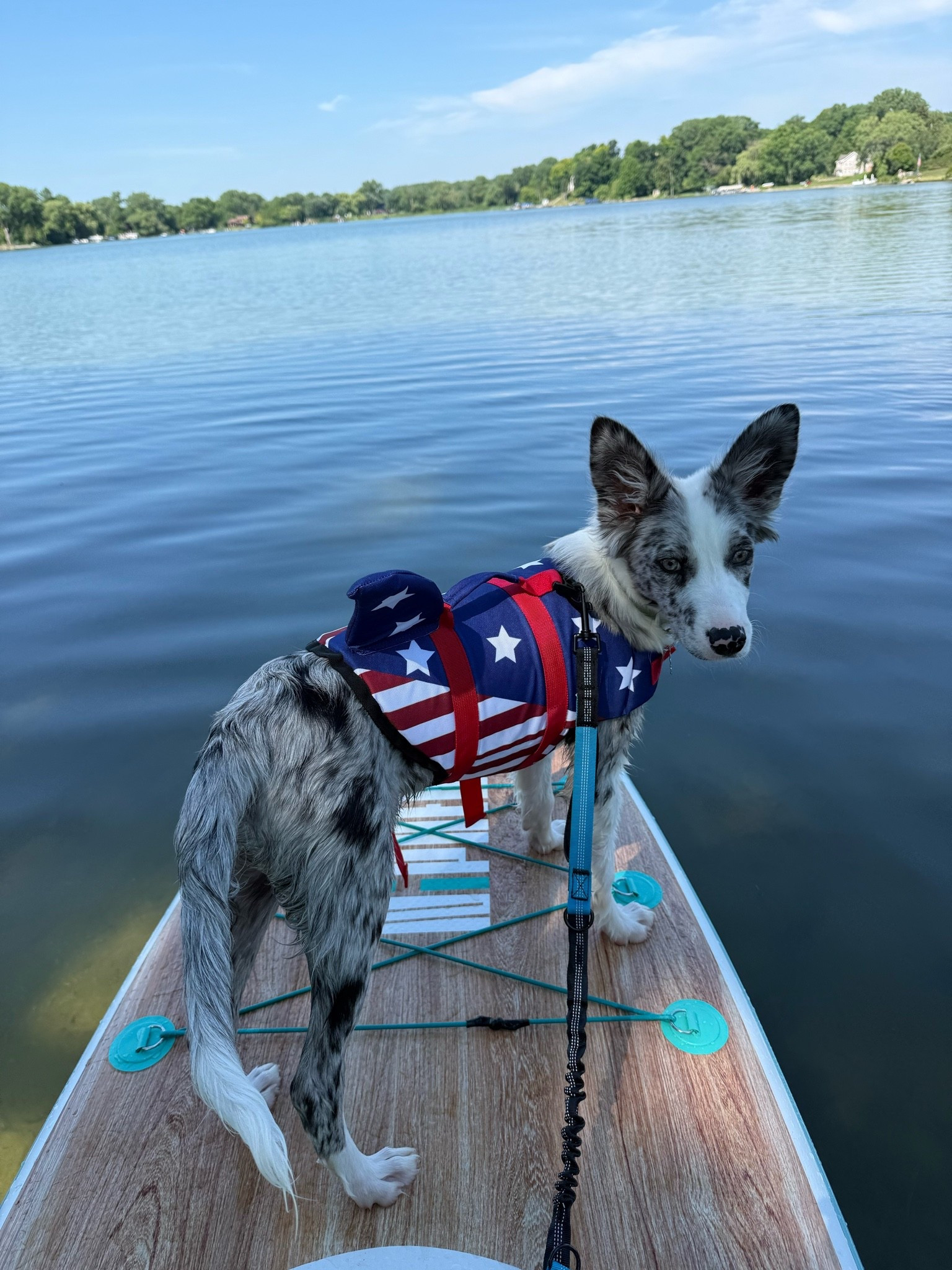 First time paddle boarding!