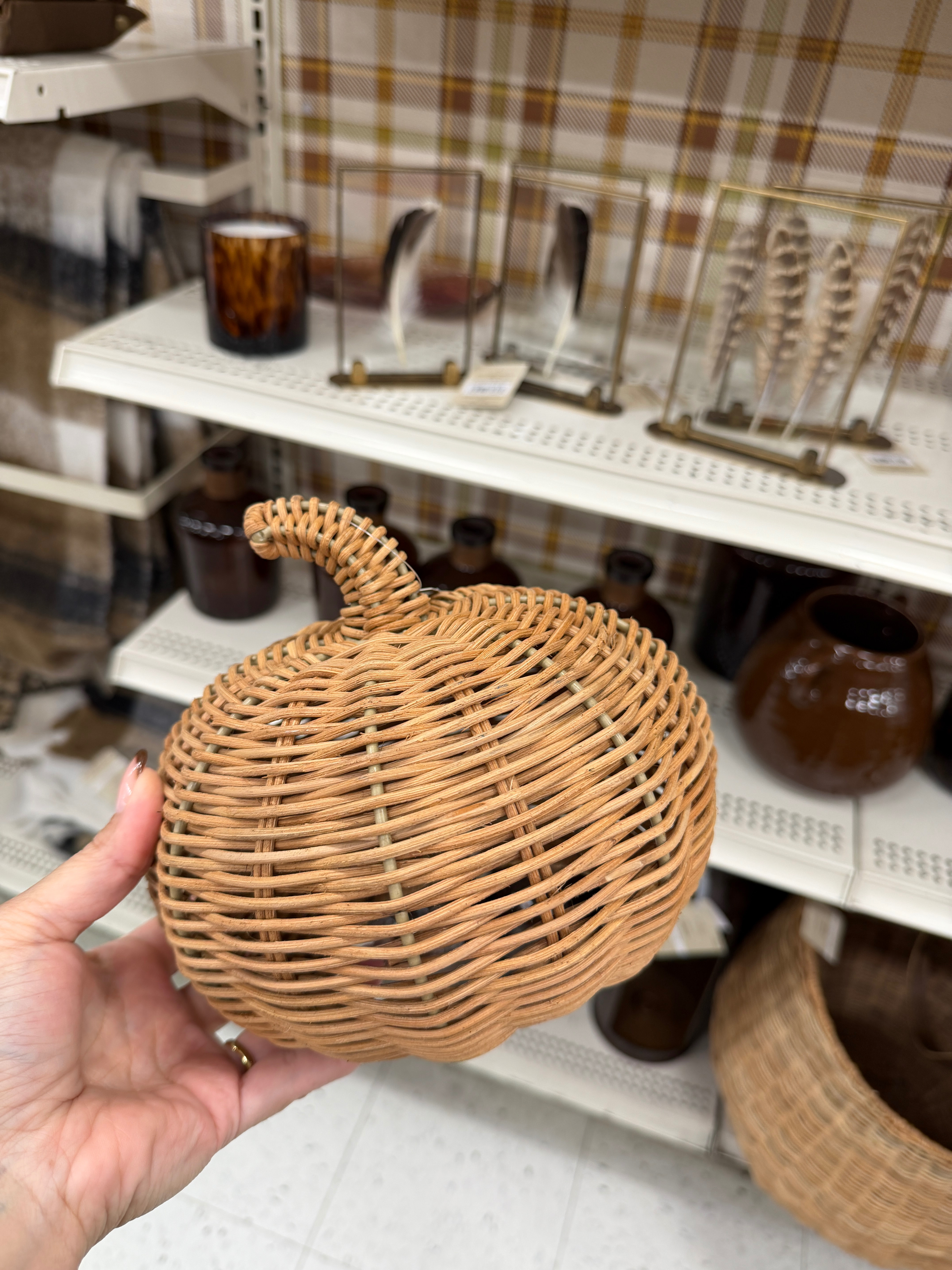 🍂 Michaels fall finds are HERE! Cozy new fall home decor, pumpkins, seasonal accents & all the warm, autumn vibes you need to refresh your home. 🤎✨ #MichaelsFinds #FallDecor #FallHomeDecor #AutumnDecor #CozyHome #FallFinds #HomeDecor 

 #LTKSeasonal #LTKHome