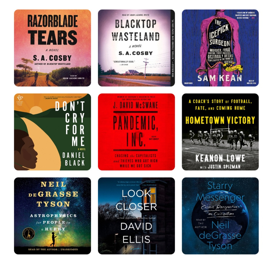 Father’s Day gift ideas, father’s day  gift ideas for readers, books for Father’s Day, audiobooks

#LTKmens #LTKunder50 #LTKGiftGuide