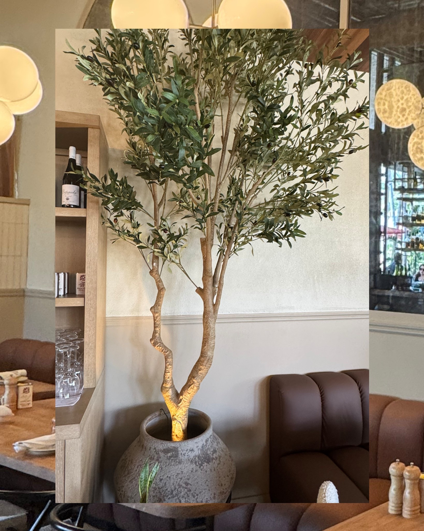 This Faux Olive 🫒 Tree is Stunning!! It will for sure be a show stopped in your home. Pair it with a great pot and the look is so high end you won’t believe how much it cost 

#LTKSeasonal #LTKHome #LTKStyleTip