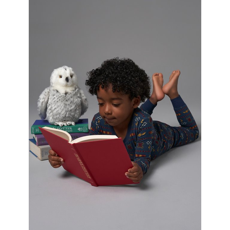 Modern Moments x Harry Potter Toddler Neutral Tight Fit Pajama Set, 2-Piece, Sizes 12M-5T | Walmart (US)