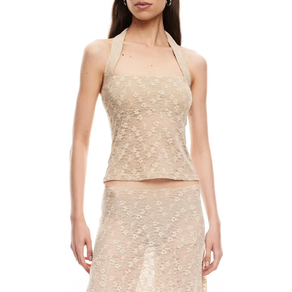 LIONESS Palisades Lace Halter Top in Taupe at Nordstrom, Size Small | Nordstrom