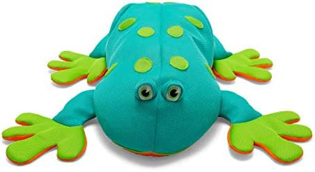 Big Joe Pool Petz Large, Frog | Amazon (US)