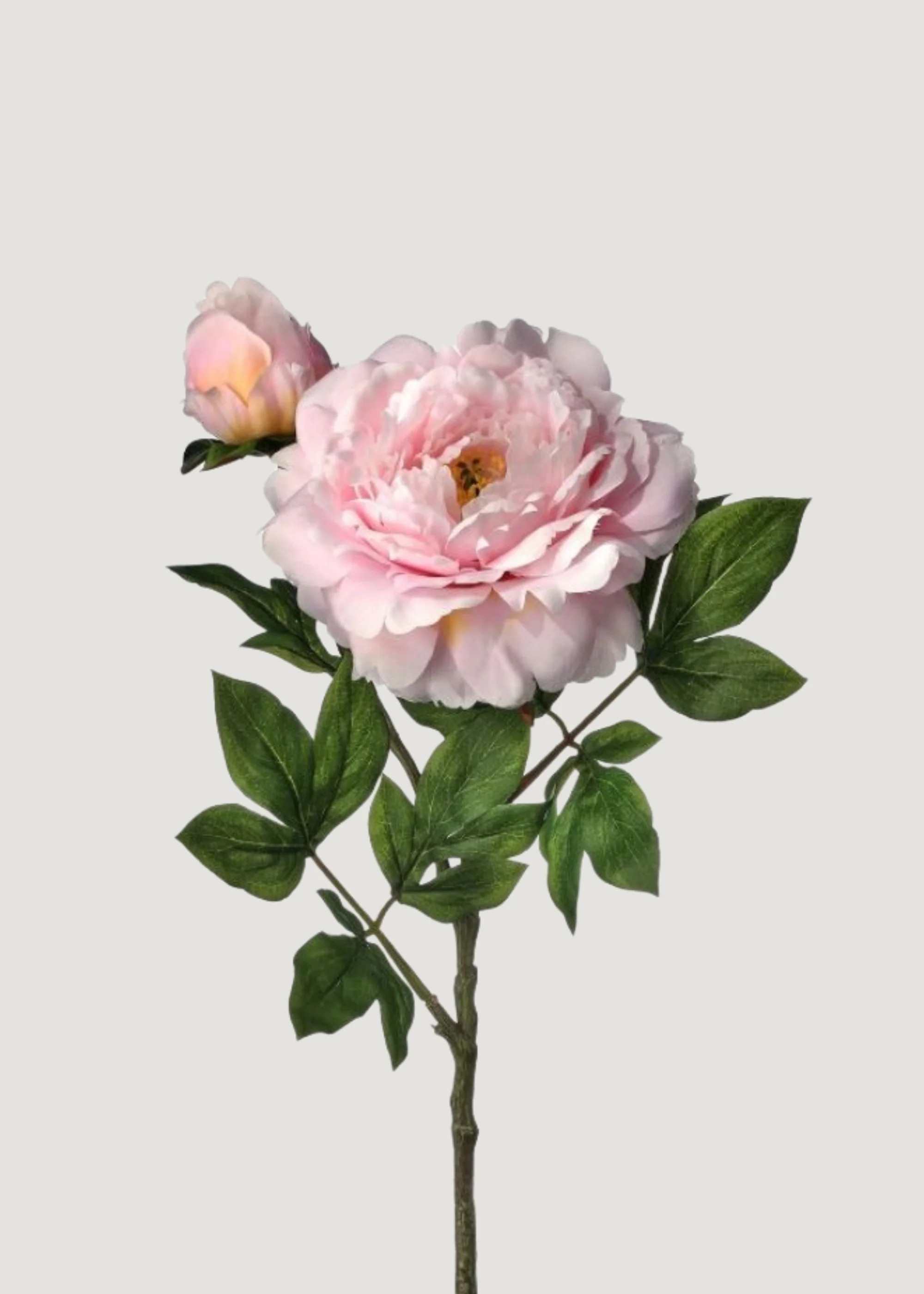 Deluxe Peony Stem in Pink | Faux Blooming Flowers | Afloral | Afloral