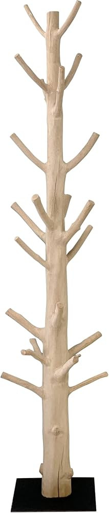 Artissance Mangosteen Tree Floor Coat Rack w/Iron Stand, 80 Inch Tall, Natural Wood and Black (Si... | Amazon (US)