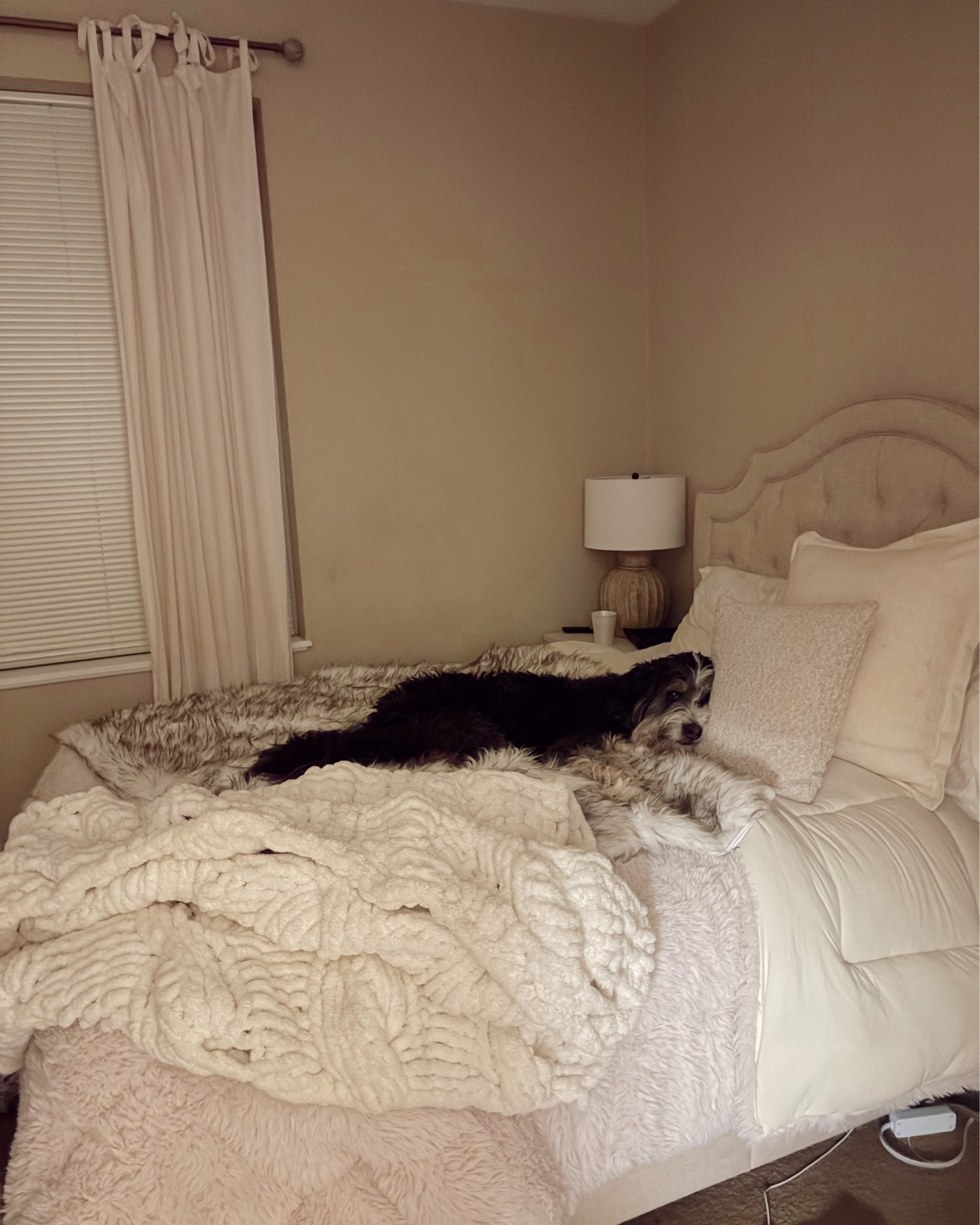 My new comforter is so comfy- I’ve never slept better (I guess that makes two of us)



#LTKMostLoved #LTKHome #LTKStyleTip