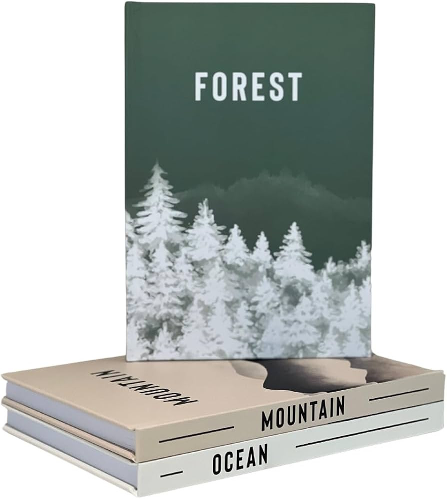 Decorative Books Set of 3 - Perfect Decor Books for Interior Designers - Libros Decorativos Para ... | Amazon (US)