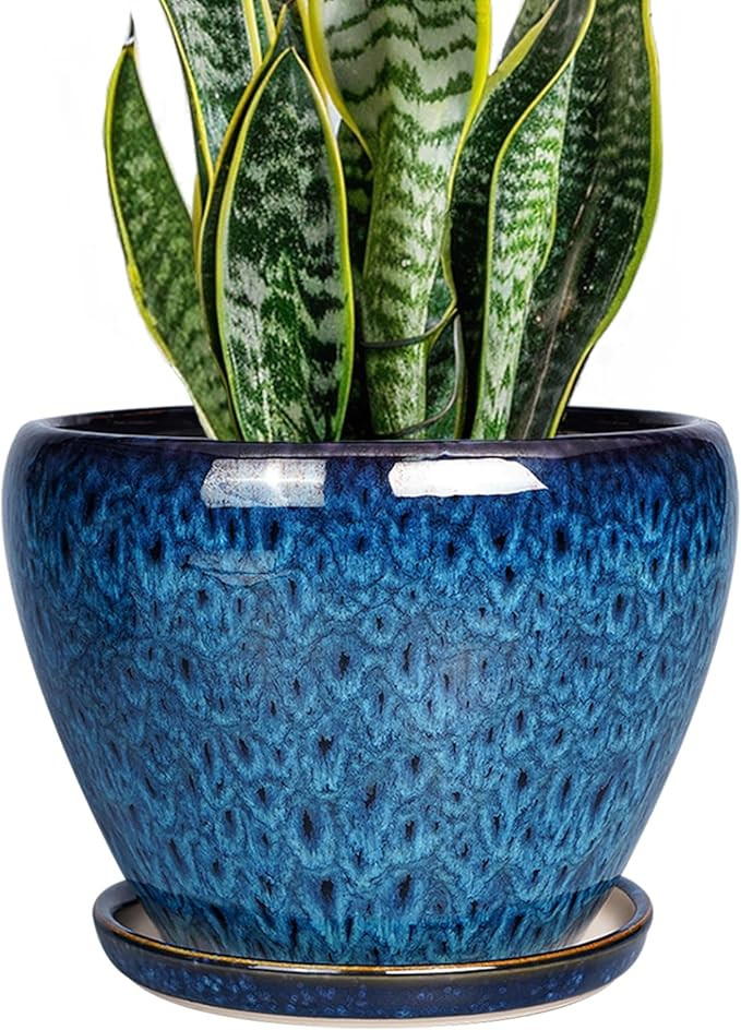 8 Inch Ceramic Plant Pot, Ceramic Planter Pot for Indoor Outdoor Plants, Round Flower Pot with Dr... | Amazon (US)