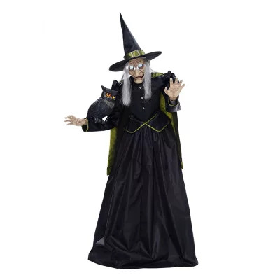 Member's Mark 6' Pre-Lit Animated Vintage Witch | Sam's Club