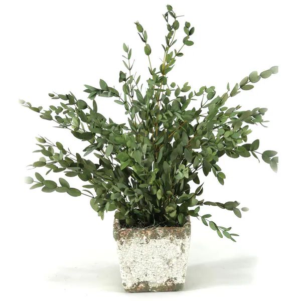 http://www.overstock.com/Home-Garden/Preserved-Parvafolia-Stoneware-Planter/9916669/product.html?rec | Bed Bath & Beyond