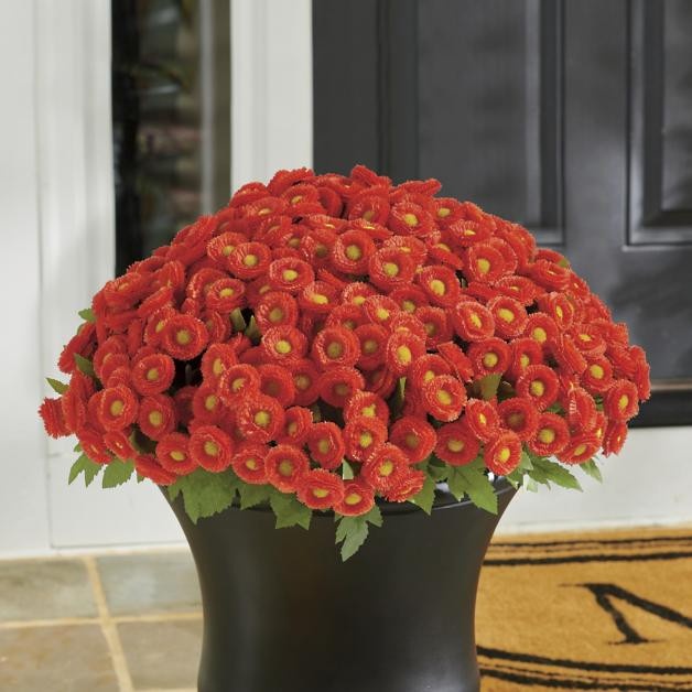 Mum Urn Filler | Grandin Road | Grandin Road