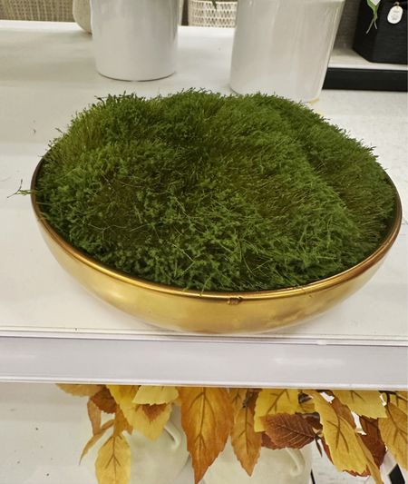 Impressed with this bowling moss. Looked very realistic. 



Target studio McGee

#LTKFindsUnder50 #LTKHome #LTKFindsUnder100