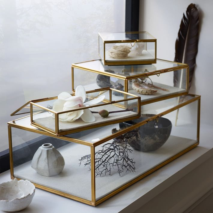 Glass Shadow Boxes | West Elm (US)