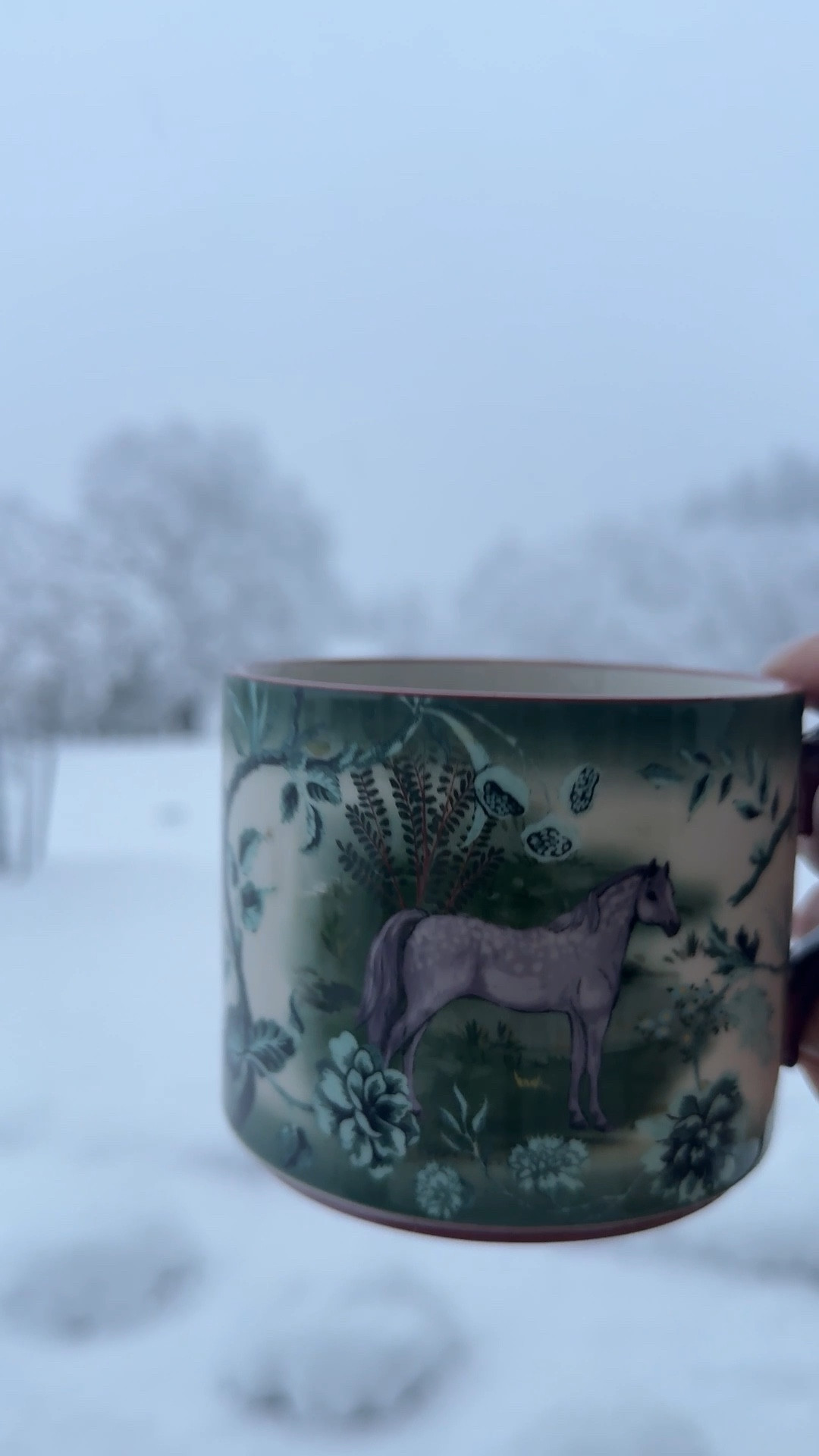 Good morning from the cutest mug and our FIRST winter snow! 

#LTKHome #LTKmorningroutine #LTKSeasonal