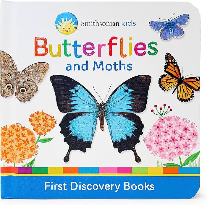 Butterflies and Moths (Smithsonian Kids First Discovery Books) | Amazon (US)